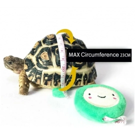 Pet Training Leash Gerbil Cage Cotton Rope Harness Collar Hamster Turtle Traction Rope Small Pet Supplies Wholesale